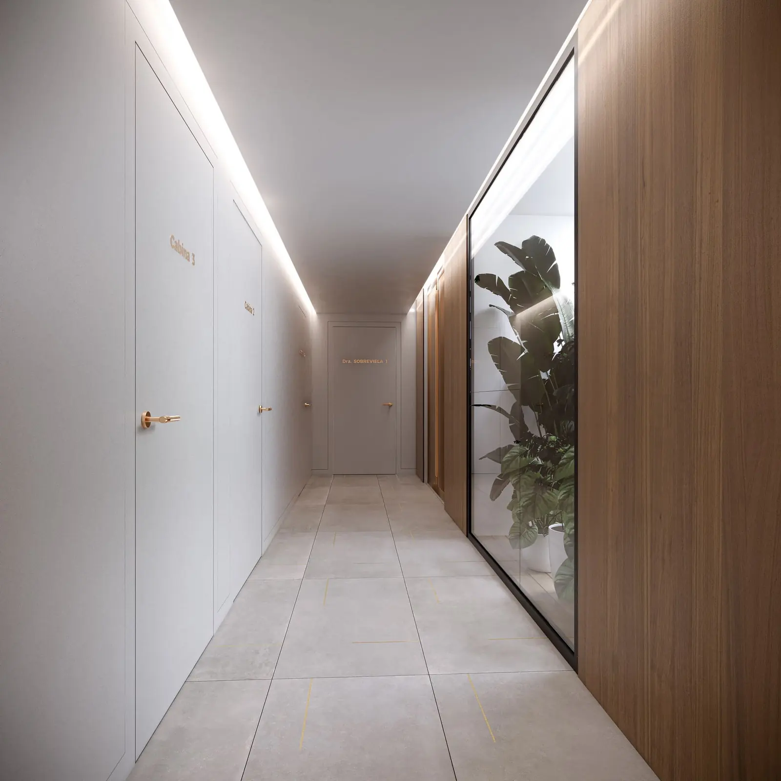 Infografía 3D de pasillo con jardín interior de Clínica Sobreviela, interiorismo de clínica de medicina estética en Girona (Cataluña) (Cristina Nogué Studio)